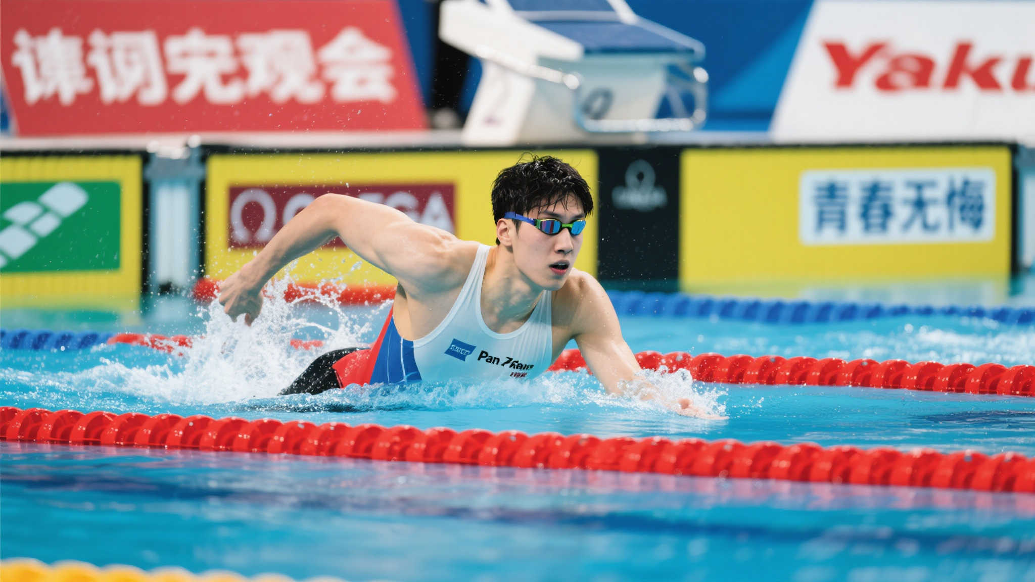 本文将为您 本文将为您